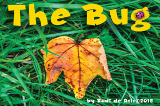 The Bug: A Black Letter Font for Designs That Command Attention